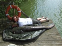 A 74lb Catfish from Morgane in May 2012 by Penny Wilson