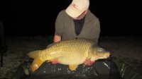 A 45lb Carp from Lords in May 2012 by Stephen Harris
