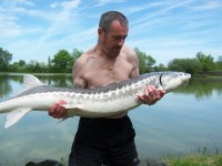 A 43lb Sturgeon from Lords in May 2012 by Victor Brown (PB))