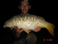 A Carp from Mas Bas Main Lake in Apr 2012 by michael