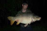 A 20lb Carp from Toms