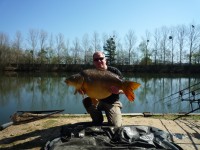 A 51lb Carp from Old Oaks in Apr 2012