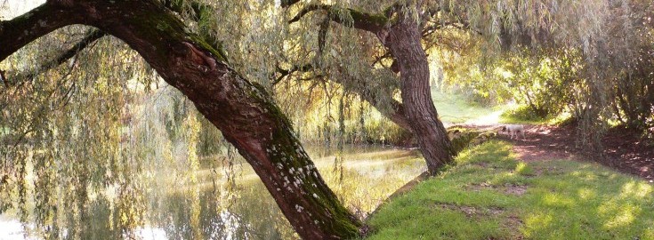 Mas Bas Main Lake
