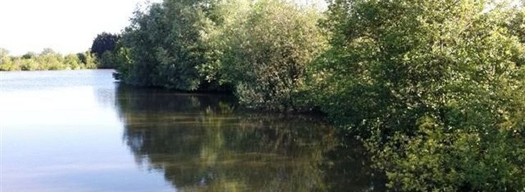 Roseau Small Lake