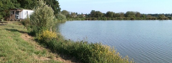 Commons