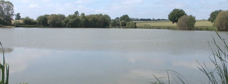 Commons