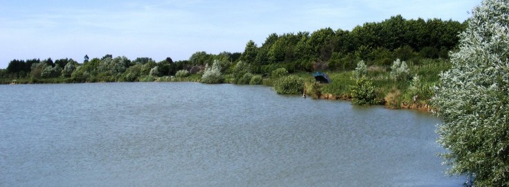 Roseau Large Lake