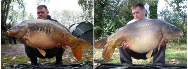 Old Oaks