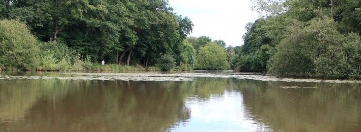 Oakwood