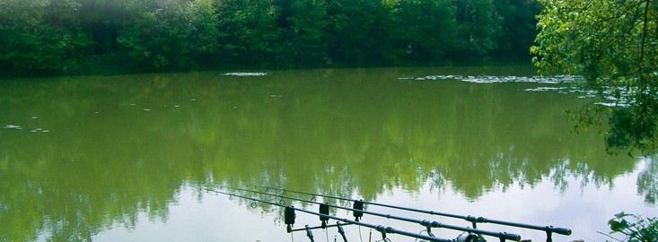 Joy Lake