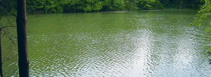 Joy Lake