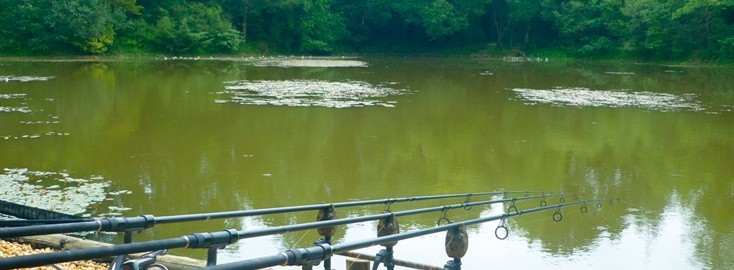 Joy Lake