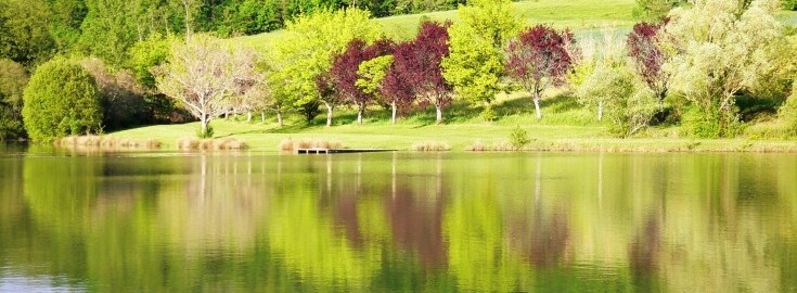 Mas Bas Main Lake