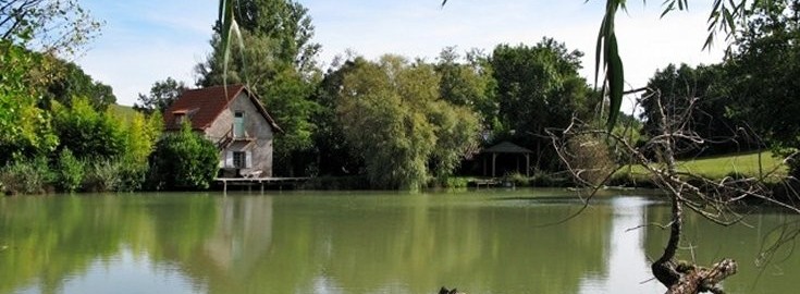 Mas Bas Lotus Lake