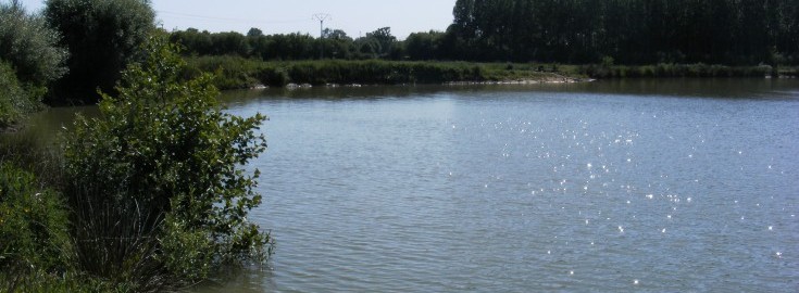 Roseau Small Lake