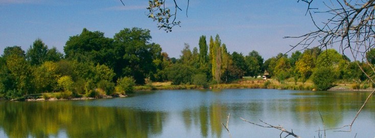 Villefond