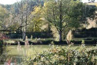 Lake photos at Mas Bas Main Lake 