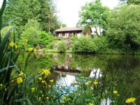 Lake photos at Hideaway 