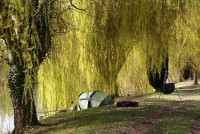The Stones Swim at Molyneux carp lake in France. 