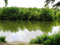 Barn Swim at Molyneux carp lake in France. 