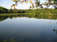 Lake photos at Boux 