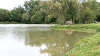Carp lake at Morgane carp lake in France. 