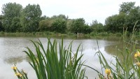 Carp lake at Morgane carp lake in France. 