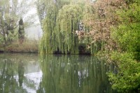 A very carpy corner! at Molyneux carp lake in France. 