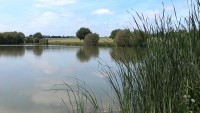 Lake photos at Commons 