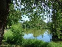 Lake photos at Bletiere 