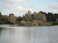 Lake photos at Margot 
