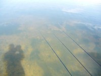 Lake photos at Margot 