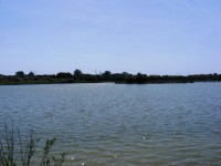 Lake photos at Roseau Large Lake 