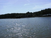 Lake photos at Roseau Large Lake 
