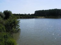 Lake photos at Roseau Large Lake 