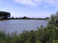 Lake photos at Roseau Large Lake 
