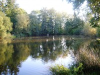 Lake photos at Hideaway 