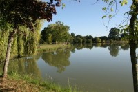 Lake photos at Malvoisine 