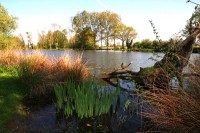 Lake photos at Boomerang 