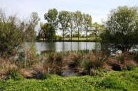 Lake photos at Boomerang 