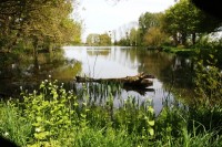 Lake photos at Boomerang 