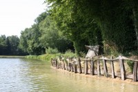 Lake photos at Boux 