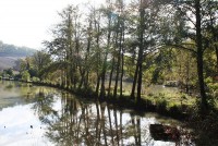 Lake photos at Mas Bas Main Lake 