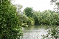 Looking towards Jack's Swim at Molyneux carp lake in France. 