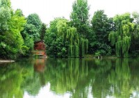 The Cabin Swim at Molyneux carp lake in France. 