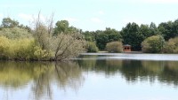 Lake photos at Margot 