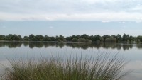 Lake photos at Margot 