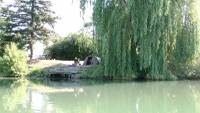 Lake photos at Molyneux 