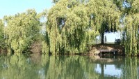 Lake photos at Molyneux 