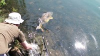 Lake photos at Molyneux 